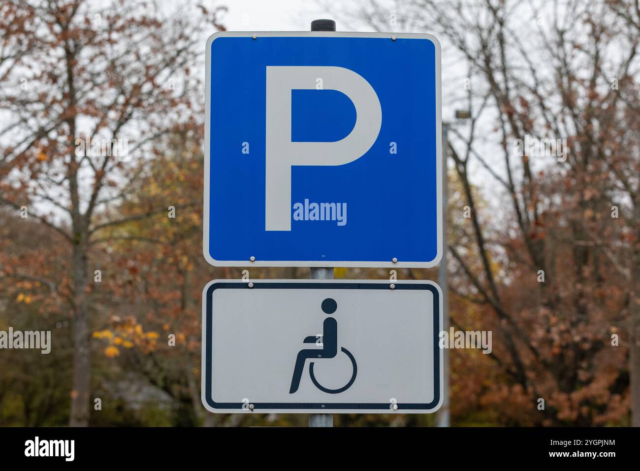 Cartello per disabili per accesso disabili e mobilità Foto Stock