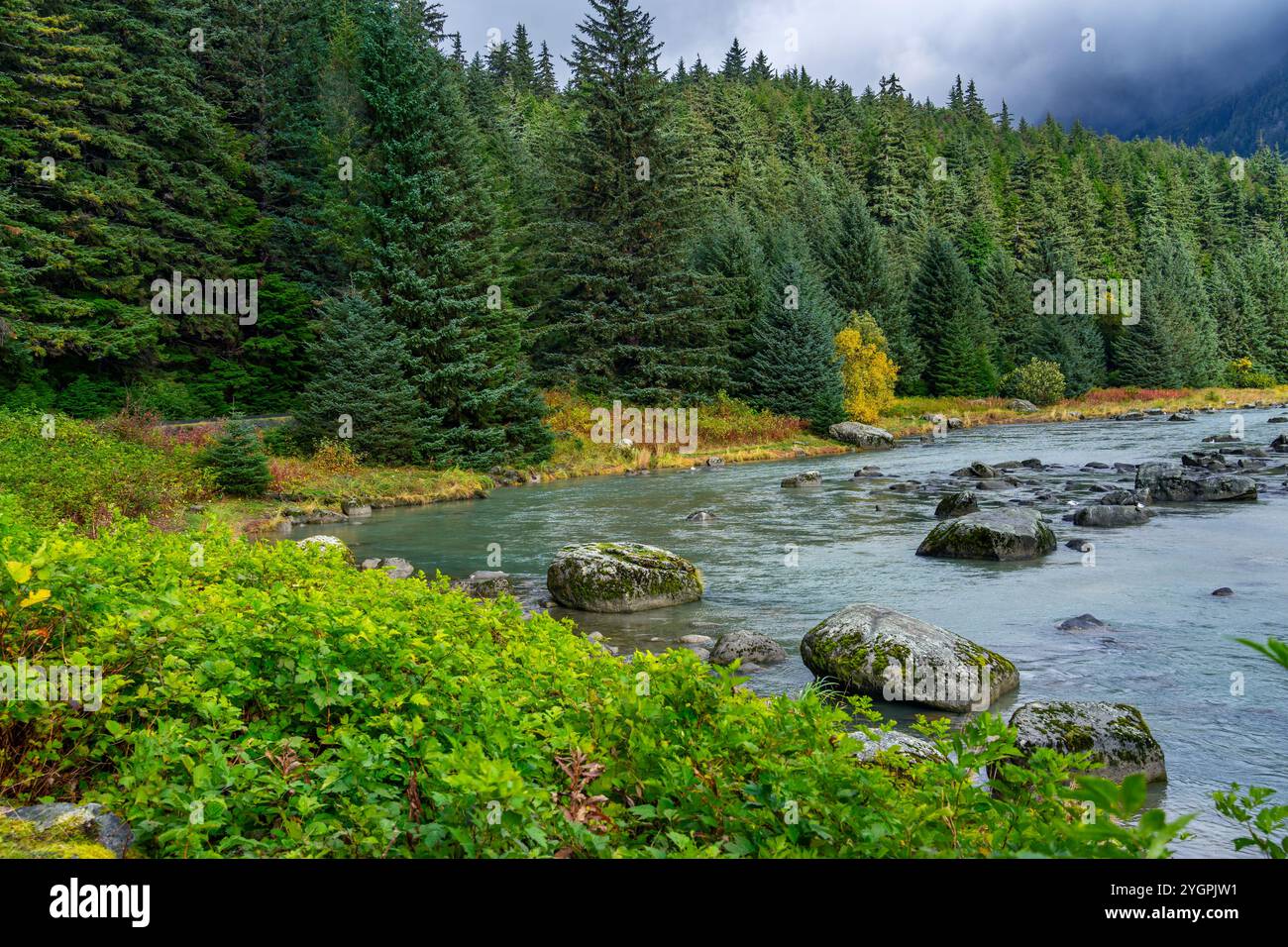 Paesaggio del fiume Chilkoot con pini di abete rosso e massi vicino a Haines, Alaska Foto Stock