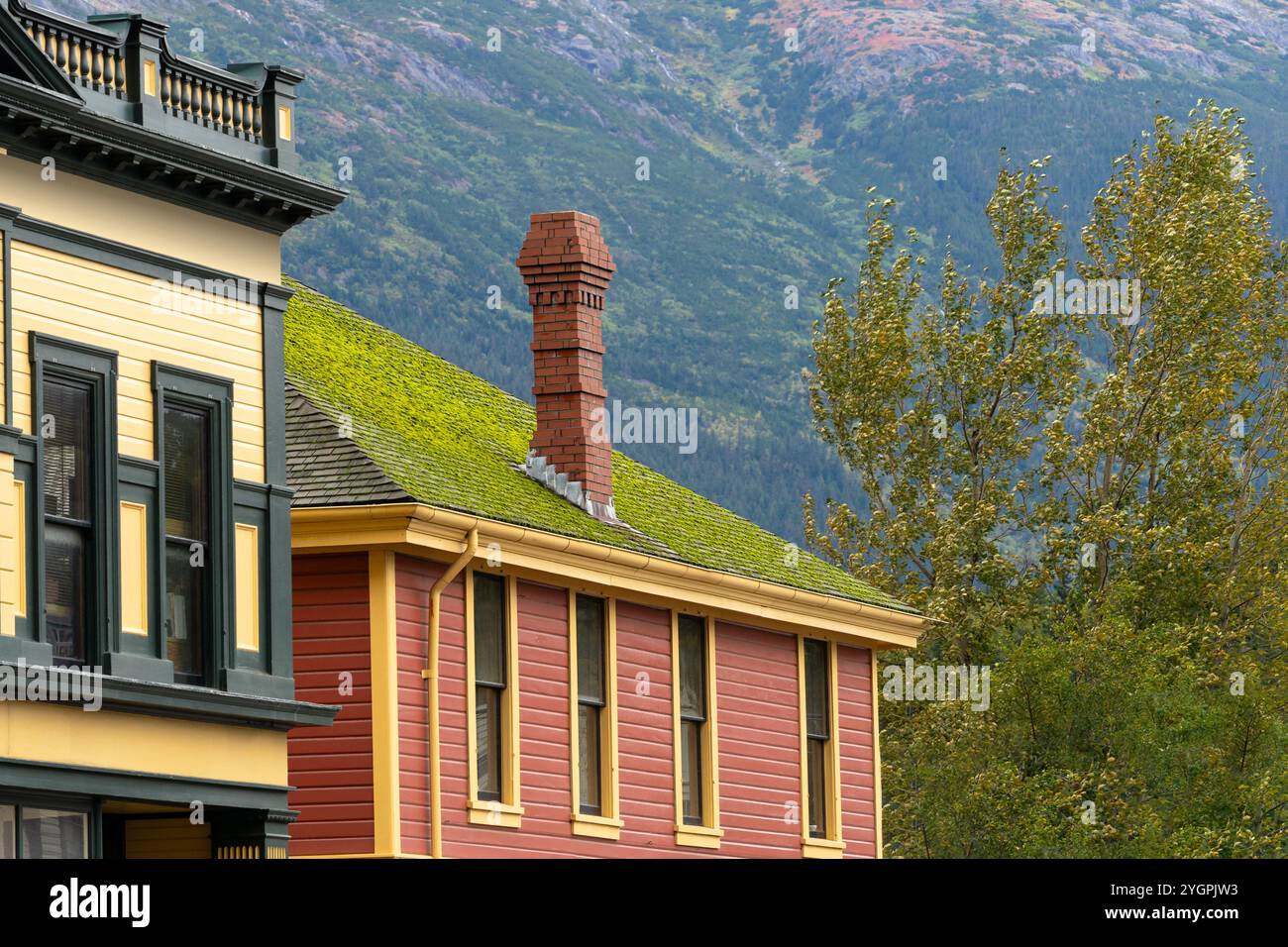 Un camino in mattoni rossi e muschio verde sul tetto di un edificio vintage Foto Stock