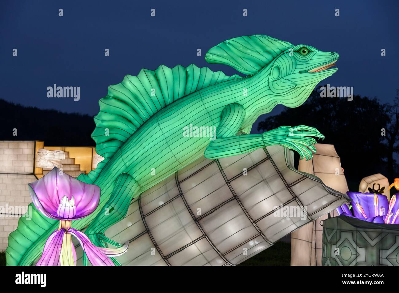 Longleat, Wiltshire, Regno Unito. 8 novembre 2024. Oltre 1000 lanterne cinesi illuminate giganti sono in mostra al Festival annuale della luce di Longleat nel Wiltshire, portando i visitatori in un "viaggio nel tempo" dall'età dei dinosauri e dei gatti a sciabola alle piramidi dell'Egitto, dell'antica Roma, della mitologia greca, delle notti arabe e della Britannia medievale. Il Festival della luce si svolgerà in date selezionate dal 9 novembre 2024 al 5 gennaio 2025. Crediti: Alison Eckett / Alamy Live News Foto Stock