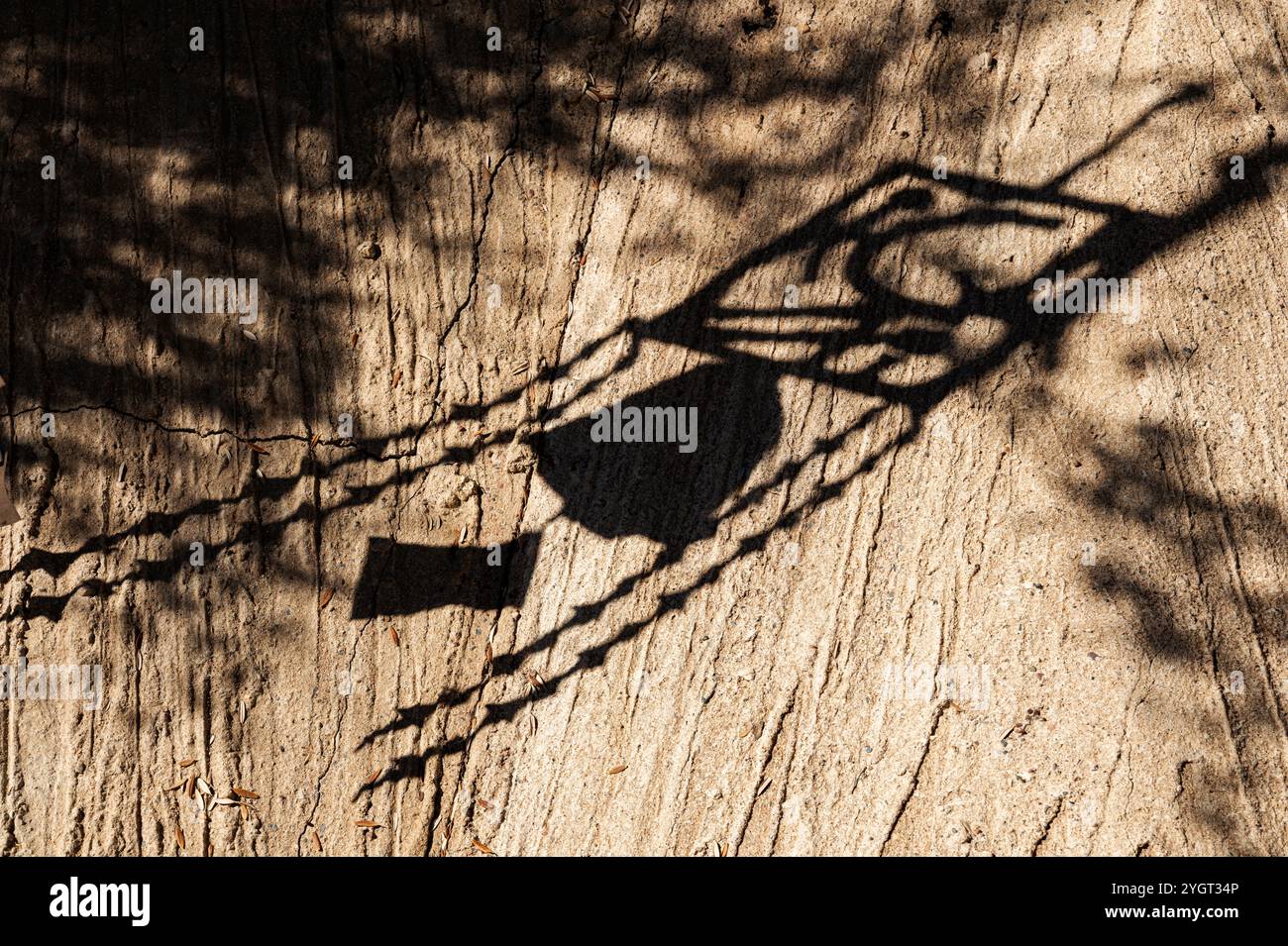 Ombre calate da un campanello di vento; Cosanti; galleria e studio dell'architetto italo-americano ormai defunto Paolo Soleri; Paradise Valley, Arizona, USA Foto Stock