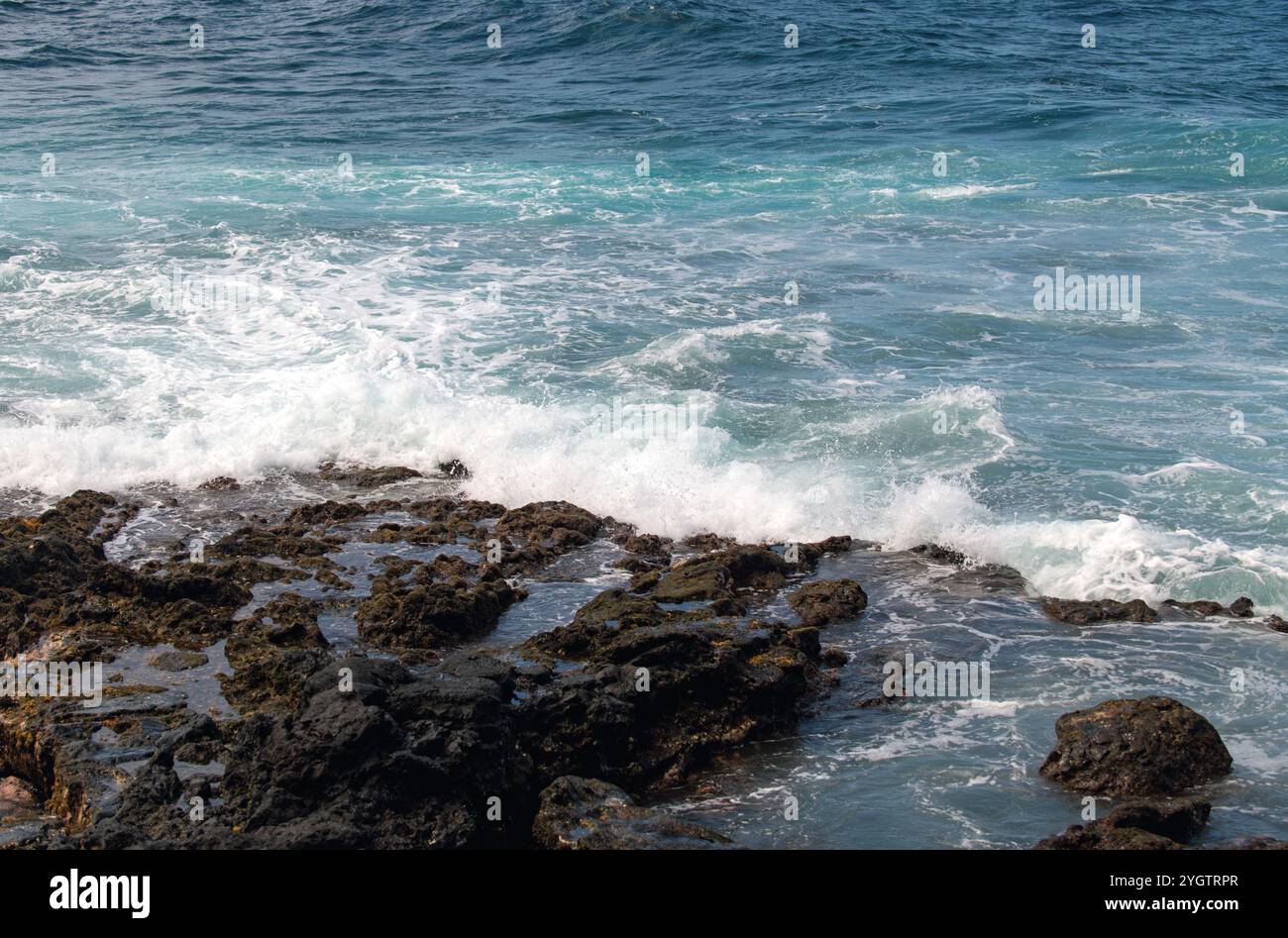 Sfondo mare. L'onda dell'oceano si schiantano sulla costa rocciosa con spruzzi e schiuma prima della tempesta. Foto Stock