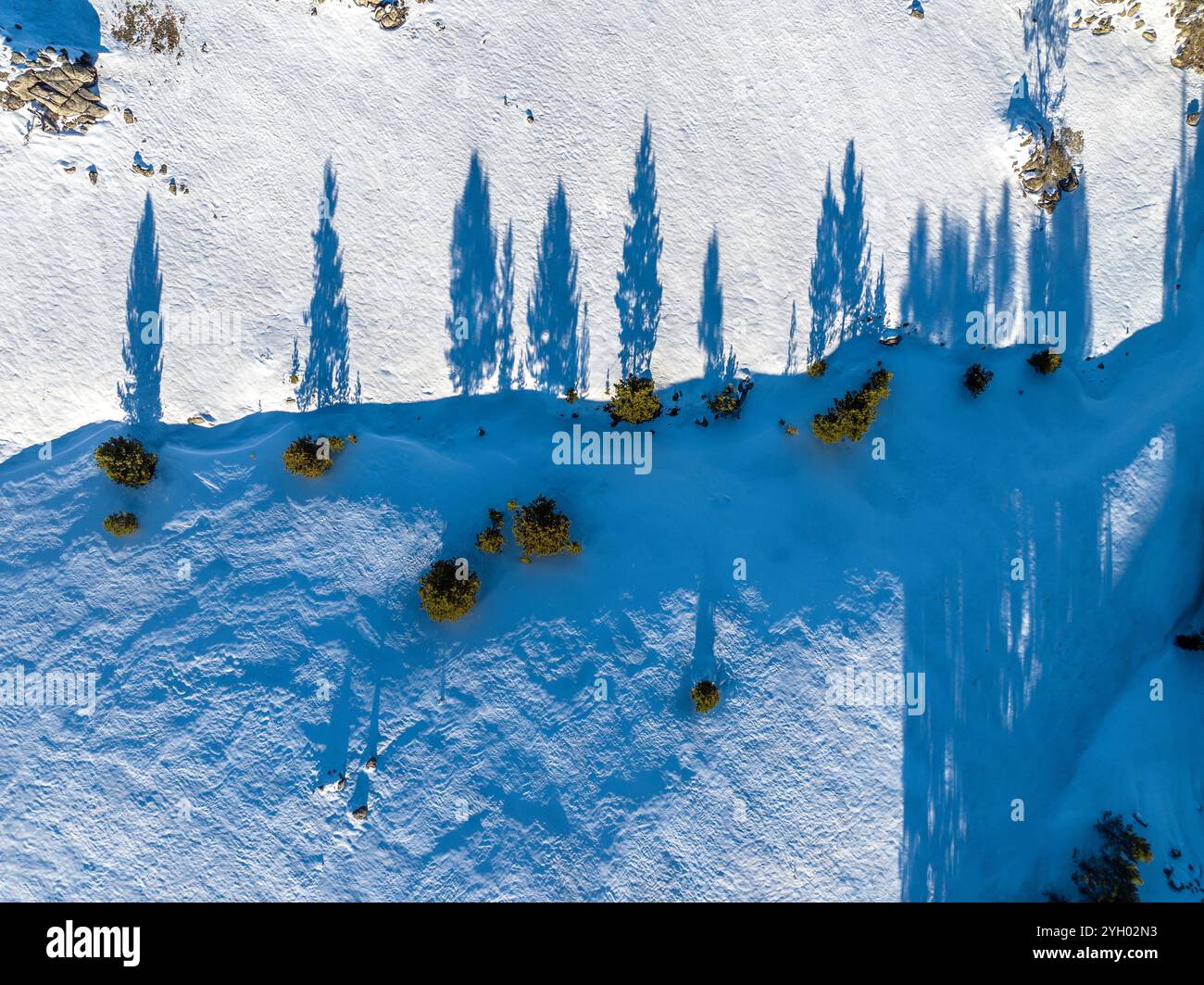 Vista aerea delle ombre degli alberi delle Bighorn Mountains, Wyoming, Stati Uniti Foto Stock