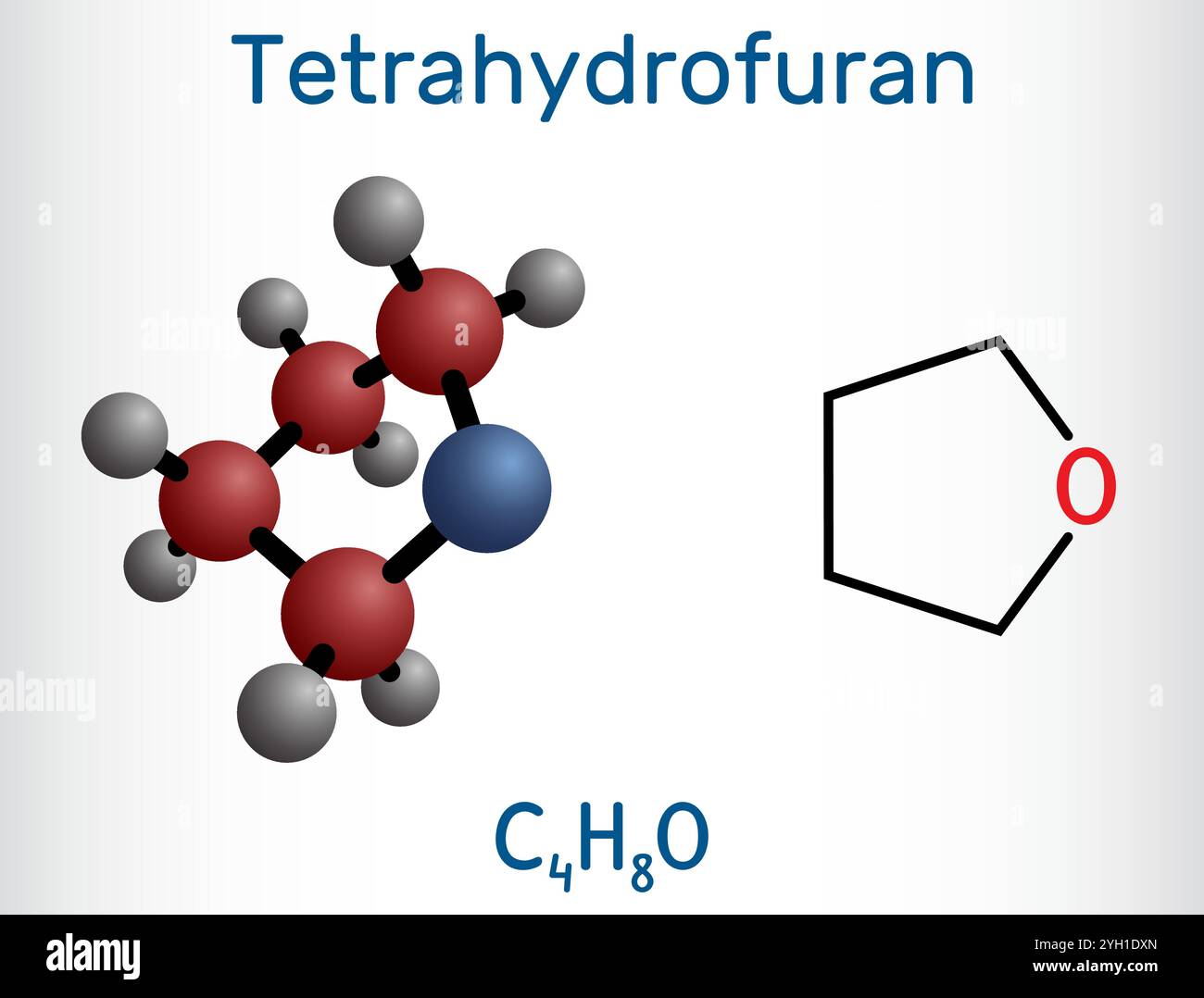 Tetraidrofurano, THF, molecola di solvente organico ossolano. Formula chimica strutturale, modello molecolare. Illustrazione vettoriale Illustrazione Vettoriale