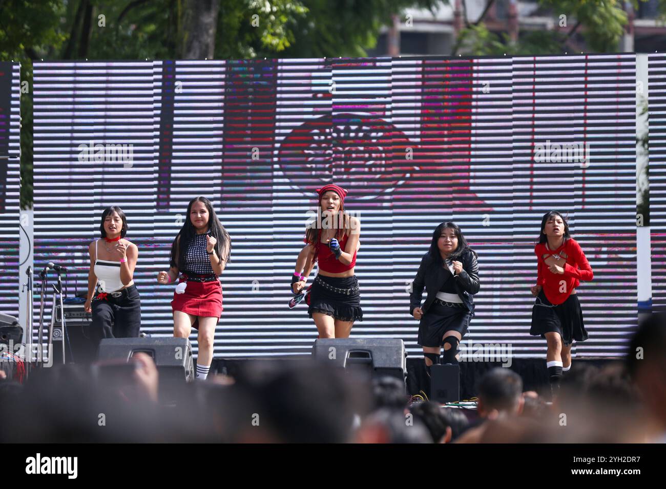 Un gruppo di artisti esegue danza K-pop durante il festival cosplay Otaku Jatra a Kathmandu, Nepal, il 9 novembre 2024. Cosplay, un portmanteau di ''Costume Play'', è un'attività e performance art in cui i partecipanti indossano costumi e accessori di moda per rappresentare per lo più personaggi immaginari visti negli anime. Le persone vestite da personaggi spesso interagiscono per creare una sottocultura e svolgono anche attività di gioco di ruolo in luoghi diversi dal palco. Anime, cartoni animati, fumetti, mangas, serie TV, e i videogiochi sono le fonti principali per i cosplay. (Foto di Subaas Shrestha/NurPhoto) credito: NurPho Foto Stock