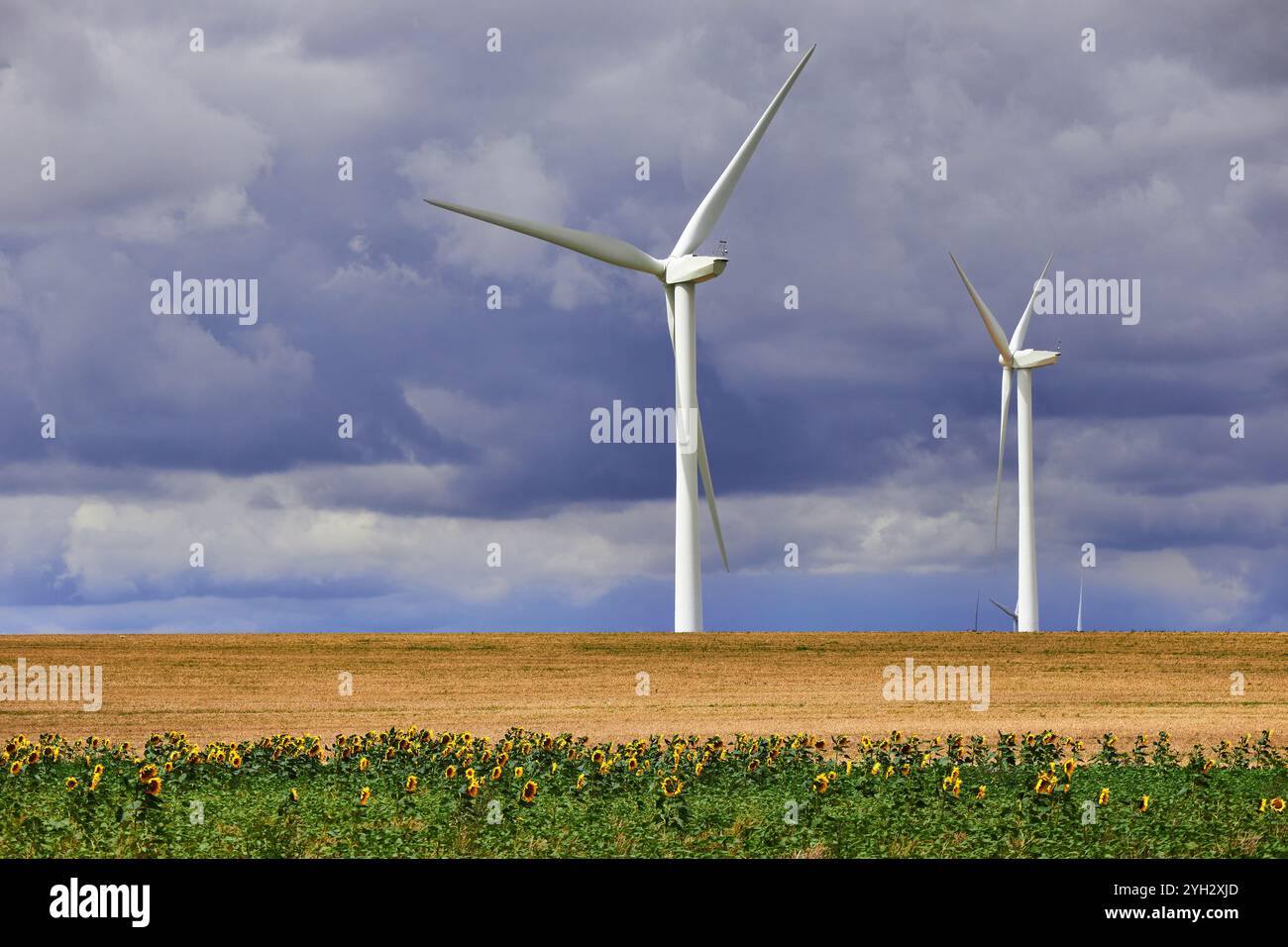 Parco eolico in Francia. Foto Stock