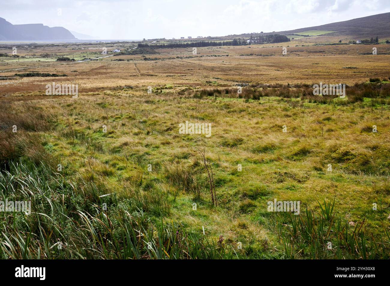 vecchi letti pigri per coltivare patate sopra la coperta di montagna le torbiere di palude scorgono l'isola di achill, contea di mayo, repubblica d'irlanda Foto Stock