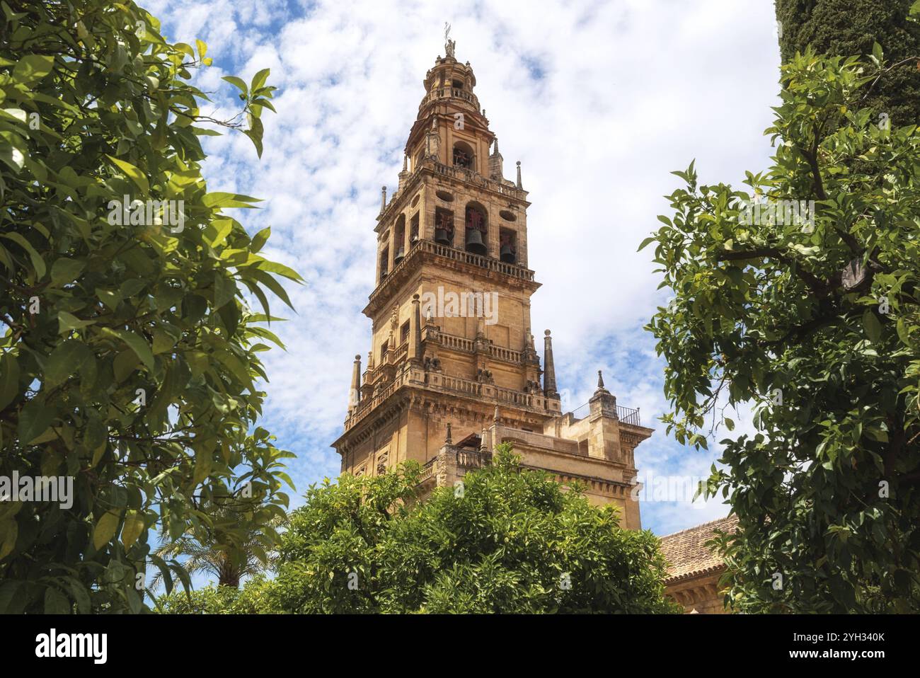 Campanile Torre de Alminar della Cattedrale Mezquita la grande Moschea di Cordova, Spagna, Europa Foto Stock