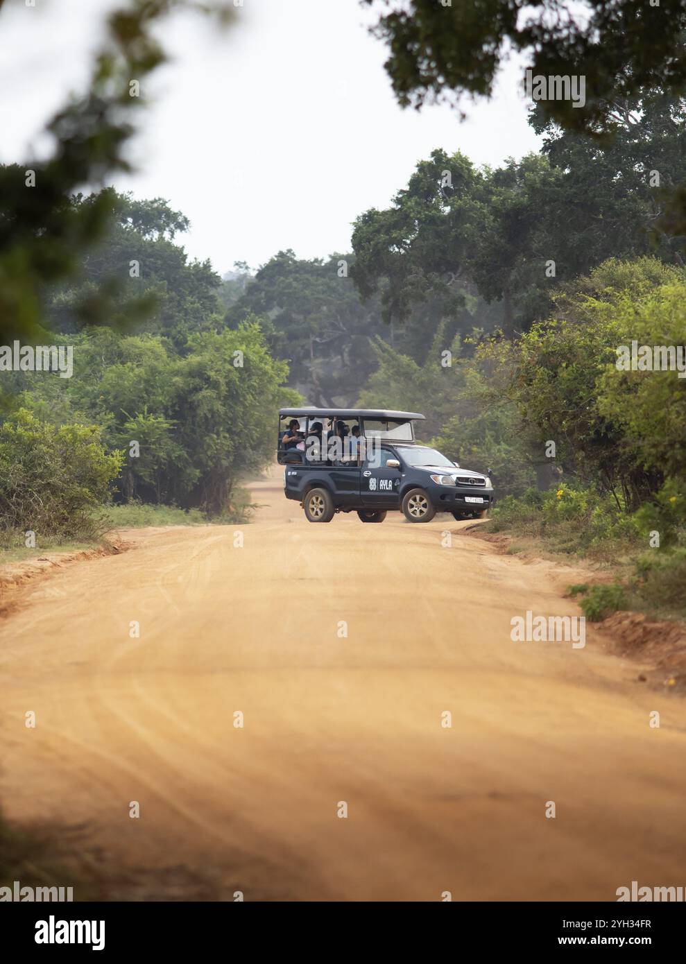 Safari in jeep su un sentiero sabbioso nel Parco Natioal di Yala, nella Provincia meridionale, Sri Lanka, Asia Foto Stock