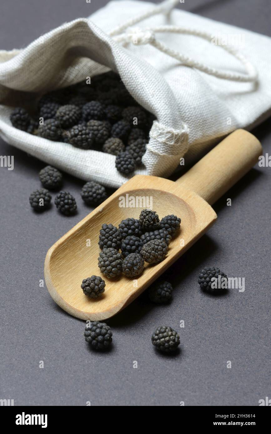 Pepe Assam, grani di pepe in paletta di legno, Assam, India, Asia Foto Stock