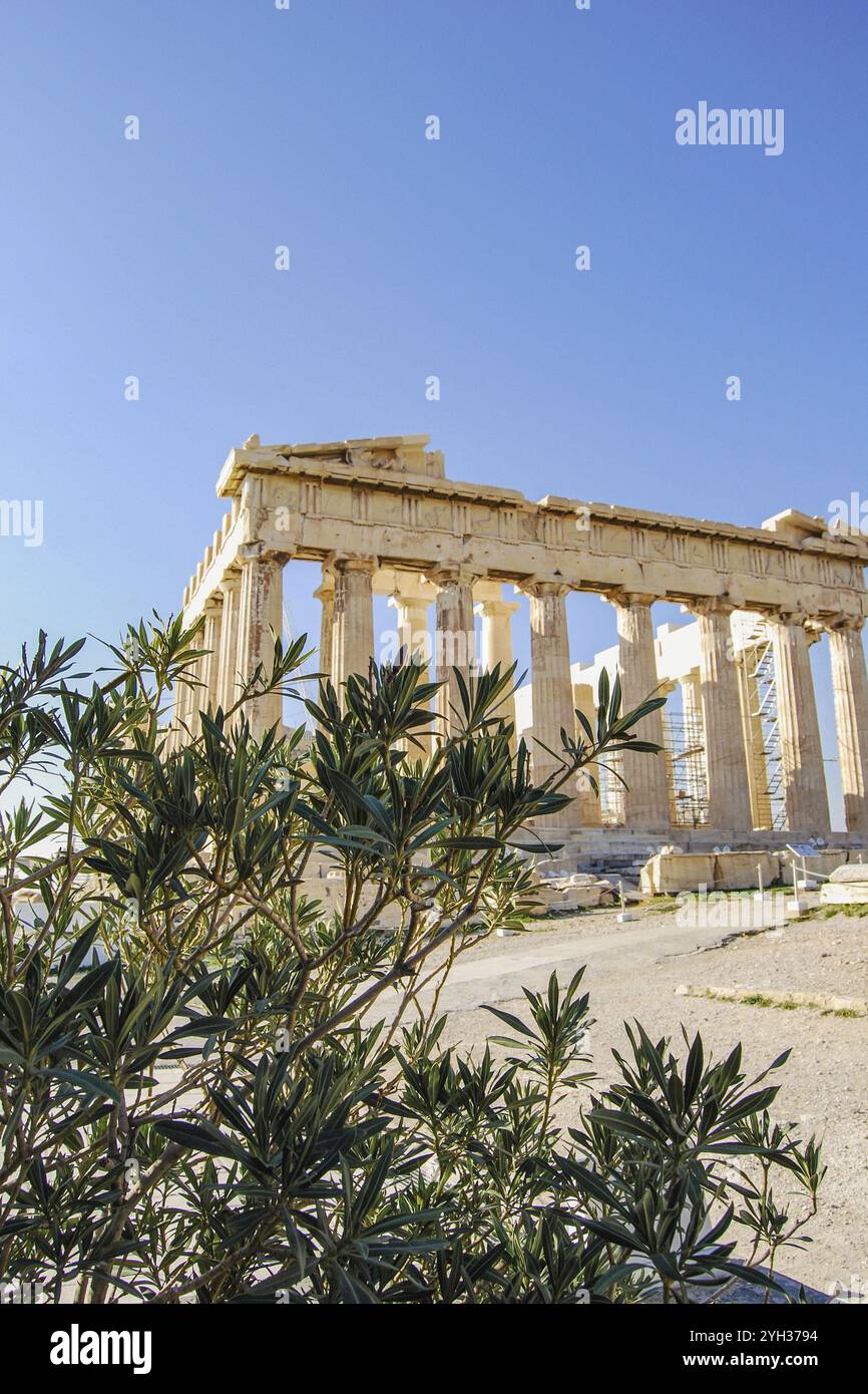 Tempio del Partenone in Acropoli, Atene Grecia Foto Stock