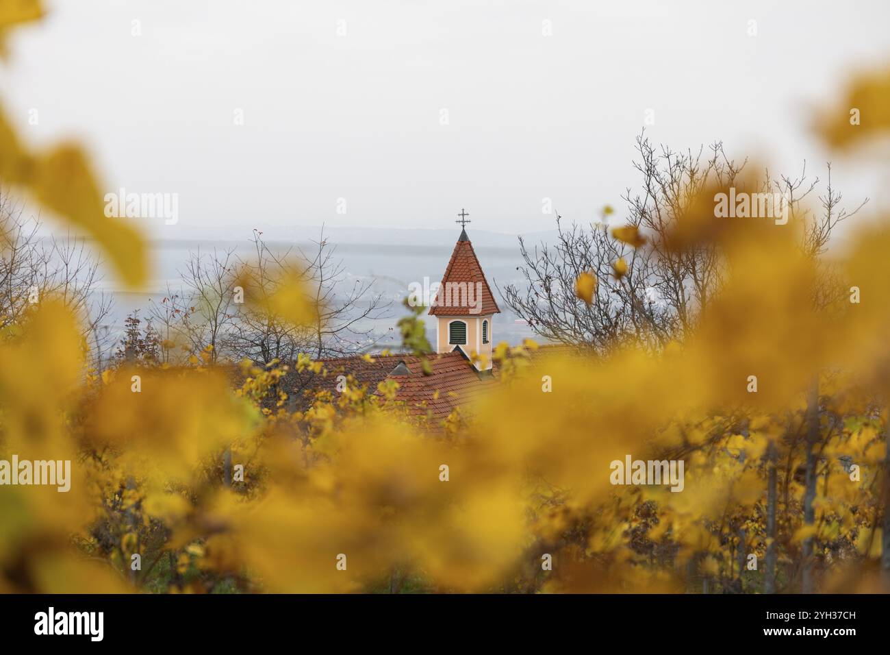 Atmosfera autunnale, cappella nel vigneto, colorazione del fogliame, St. Andrae-Hoech, regione vinicola Sausal, Stiria, Austria, Europa Foto Stock