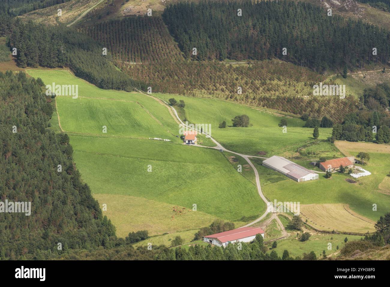 Foresta di Vizcaya e paesaggio montano nel monte Oiz, Paesi Baschi, Spagna, Europa Foto Stock