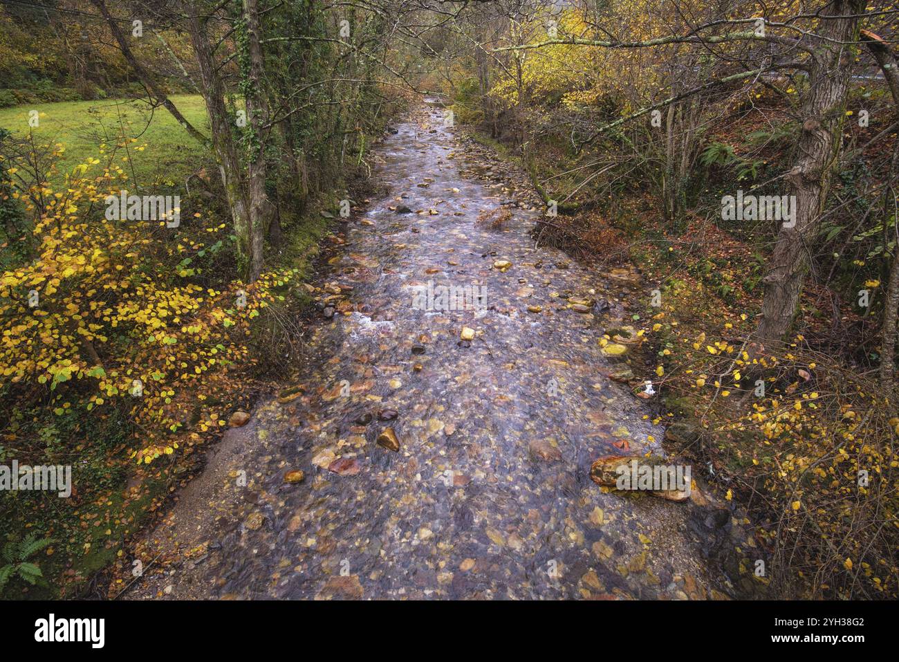 Fiume nel parco naturale di Somiedo, Asturie, Spagna, Europa Foto Stock