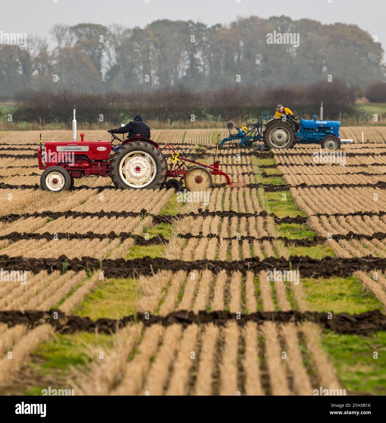 East Lothian, Scozia, Regno Unito, 9 novembre 2024. 41° incontro annuale di aratura dei trattori: L'evento annuale dell'East Lothian Ploughing Associations è un raduno di proprietari di oltre 60 trattori d'epoca - sorprendentemente non molti di loro agricoltori - che quest'anno si sfidano per i solchi più dritti della East Mains Farm a Samuelston. Ogni patch viene valutata e non dovrebbe essere possibile identificare i singoli passaggi delle lame nella striscia. Crediti: Sally Anderson/Alamy Live News Foto Stock