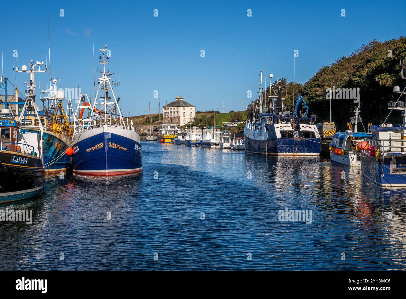 Barche da pesca ormeggiate nel porto di Eyemouth in un pomeriggio di sole Foto Stock