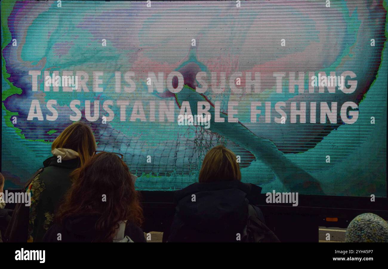 Londra, Regno Unito. 9 novembre 2024. Un ad-van mostra un breve film documentario mentre i manifestanti si riuniscono fuori dal Parlamento a Westminster a sostegno del fondatore e attivista anti-baleniera di Sea Shepherd Paul Watson. Watson, cittadino statunitense e canadese, è stato arrestato in Groenlandia e sta affrontando l'accusa in Giappone di complice di aggressione e di violazione delle navi, che lo hanno visto ottenere una condanna a 15 anni di carcere. Crediti: Vuk Valcic/Alamy Live News Foto Stock