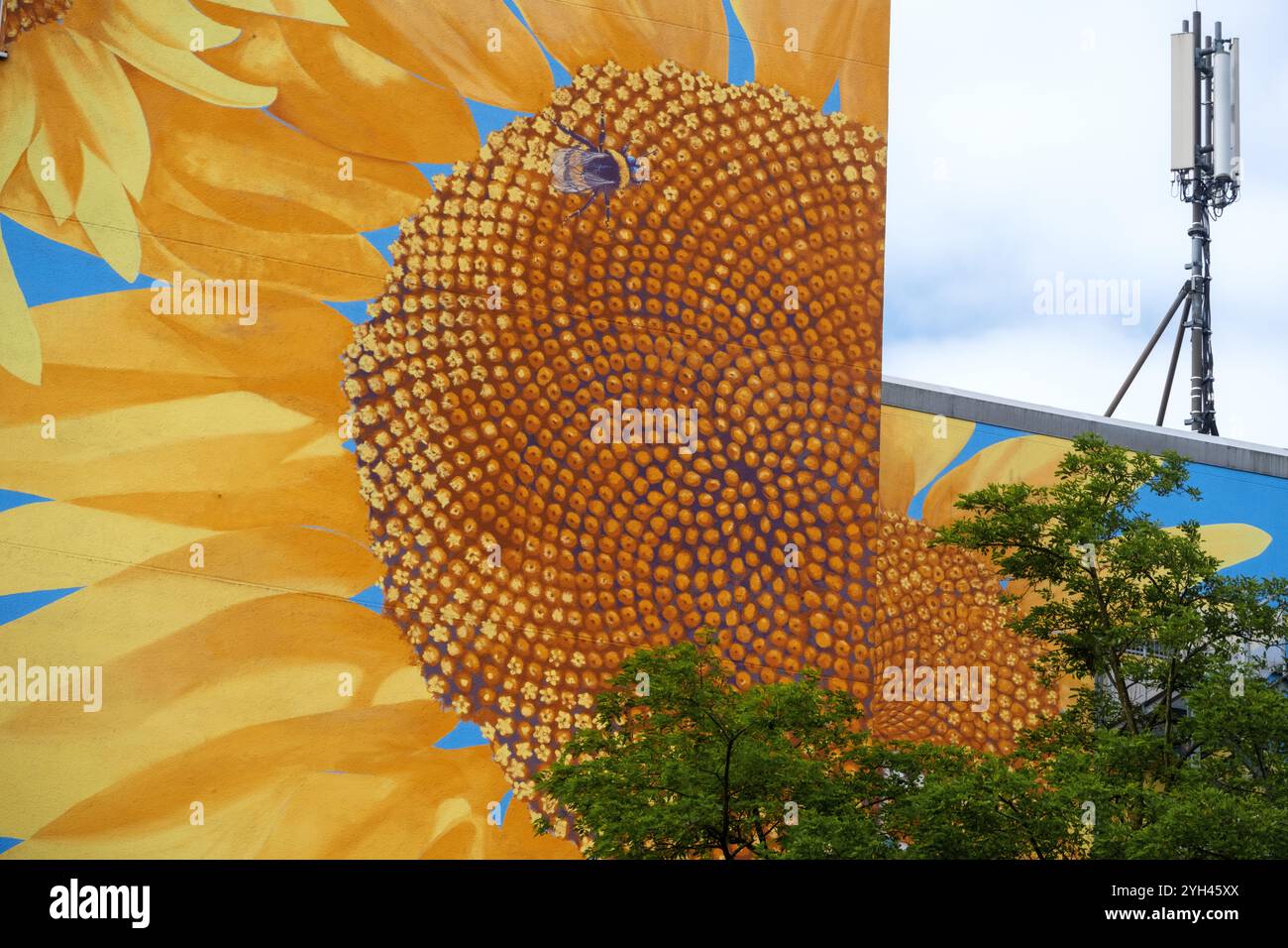 Un grande murale di girasole copre un edificio, con un primo piano del suo centro che mostra uno schema Fibonacci. Una torre di trasmissione si trova accanto al vib Foto Stock