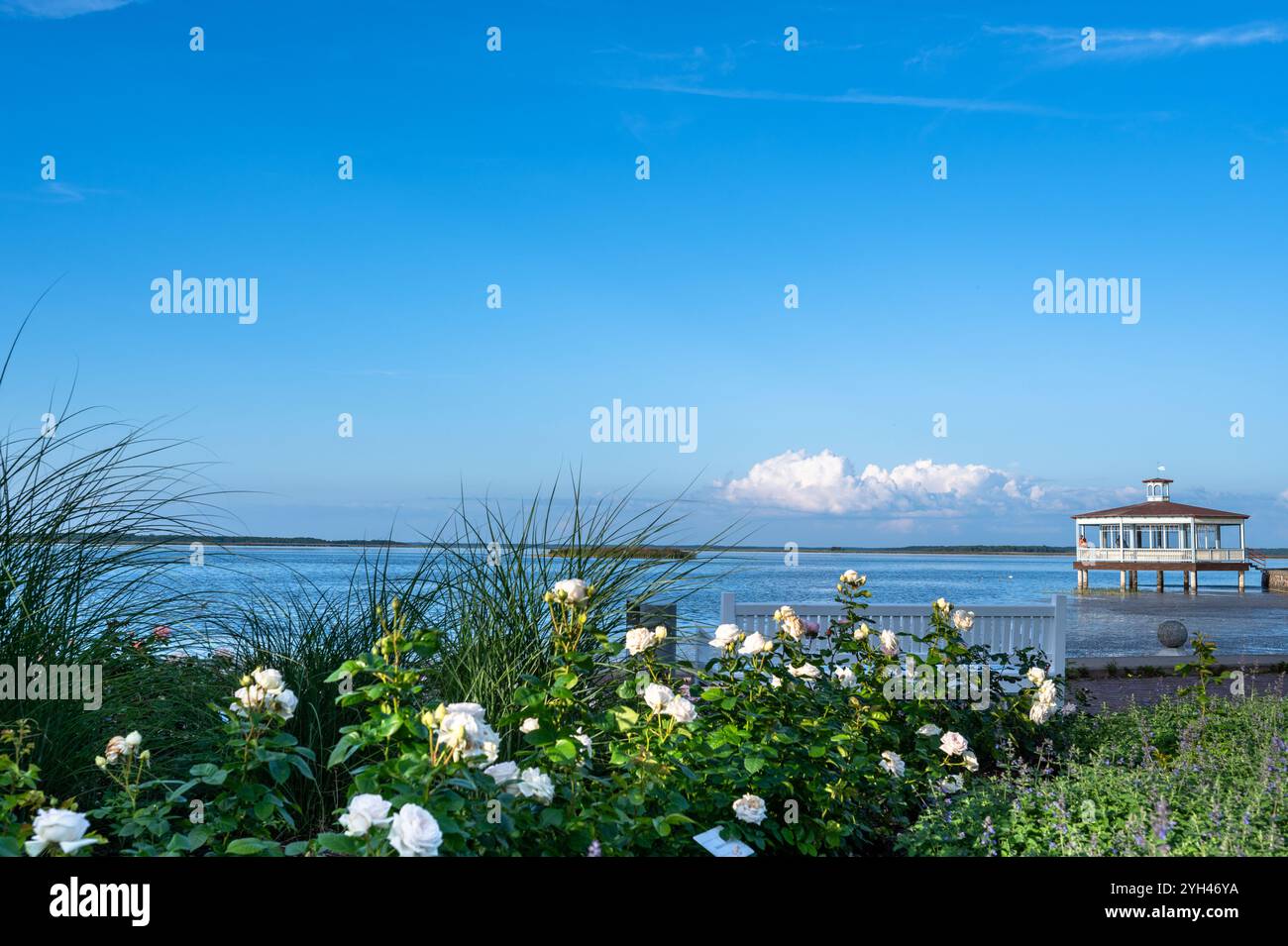 Il Padiglione Haapsalu sul Mar Baltico in estate, Estonia Foto Stock