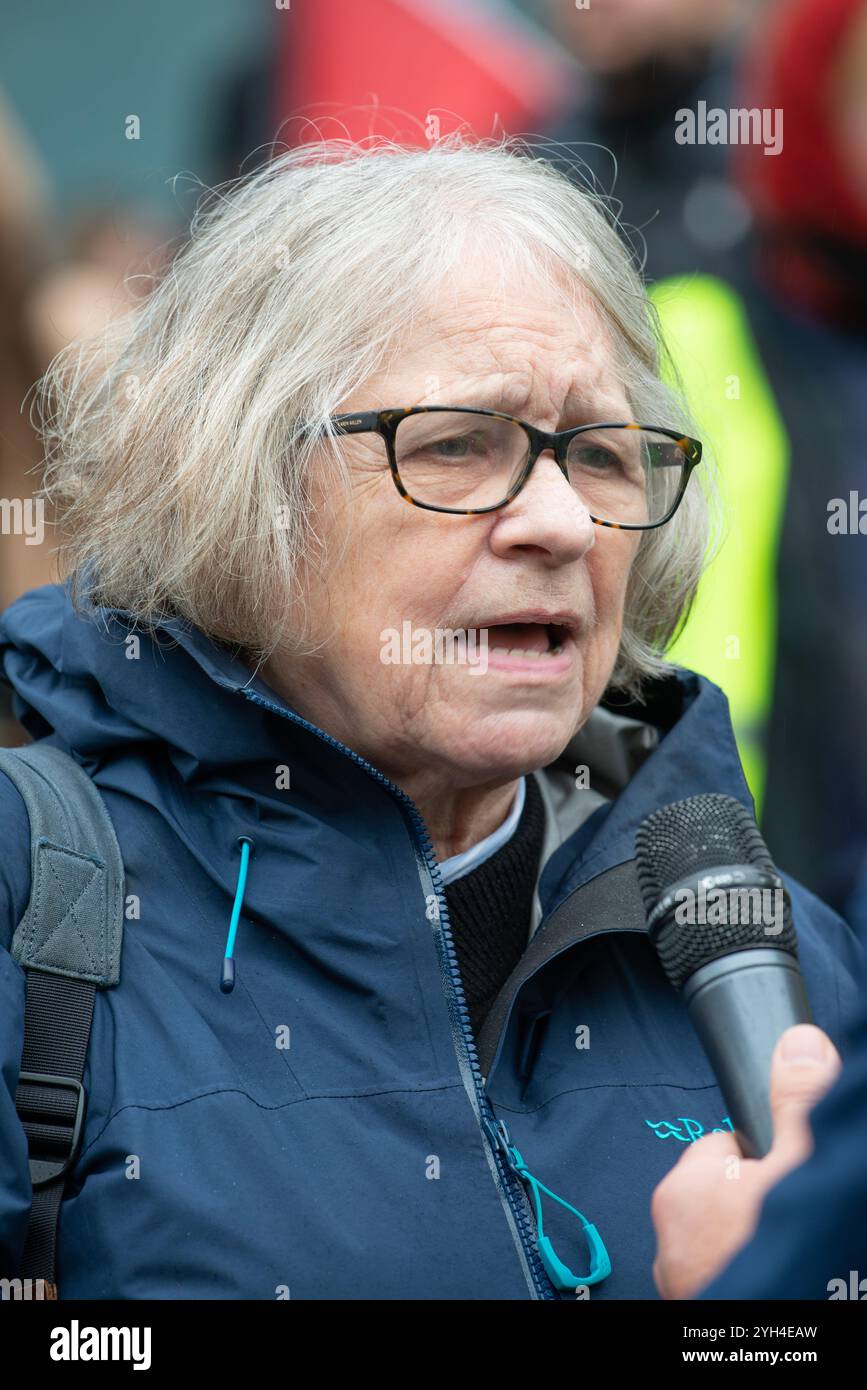 Londra, Regno Unito. 2 novembre 2024. La scrittrice e attivista Lindsey German, intervistata alla marcia Nazionale per la Palestina, chiedendo giustizia per la Palestina e che il governo contribuisse a porre fine ai combattimenti. Foto Stock