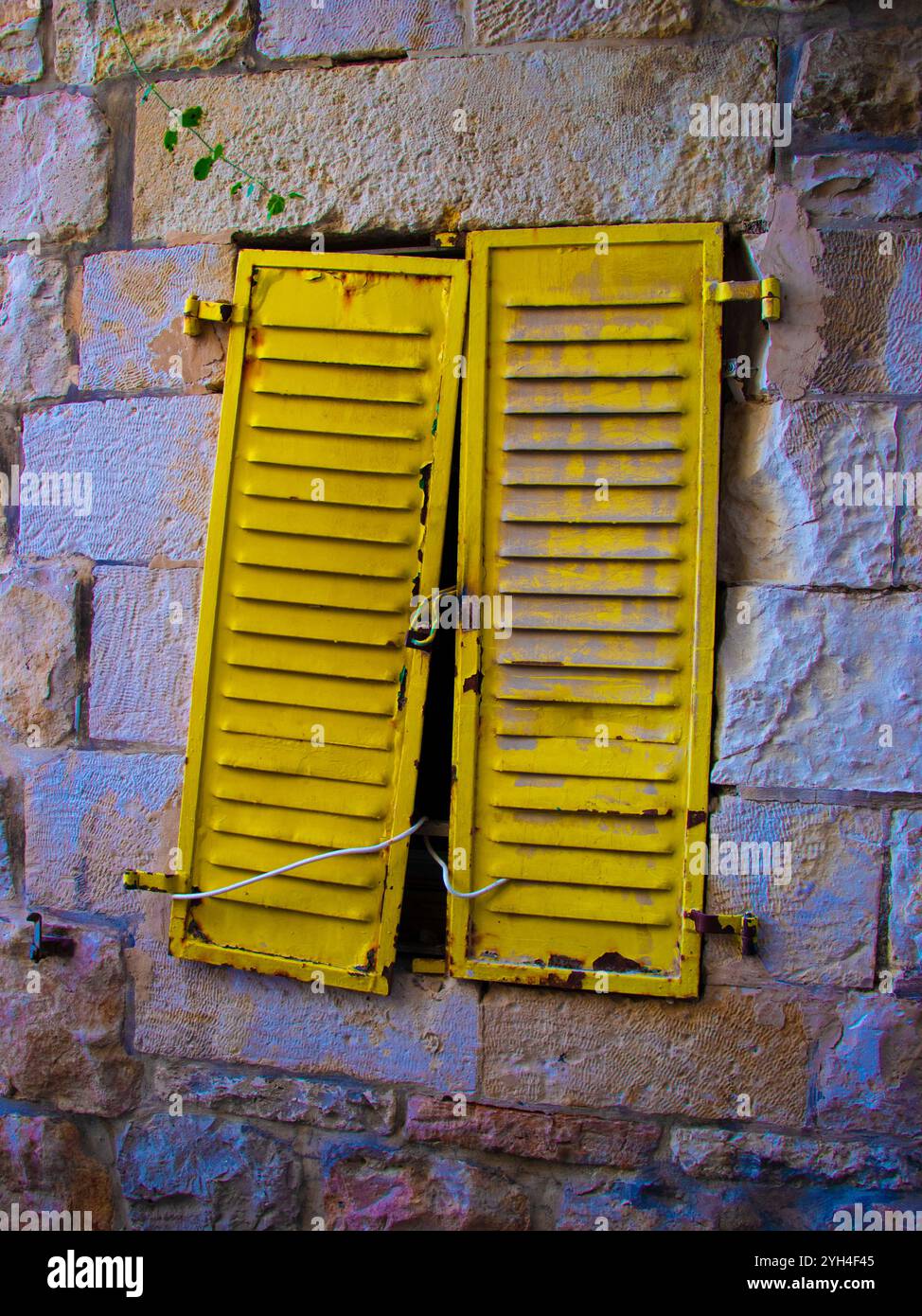 Finestre di riepilogo Foto Stock