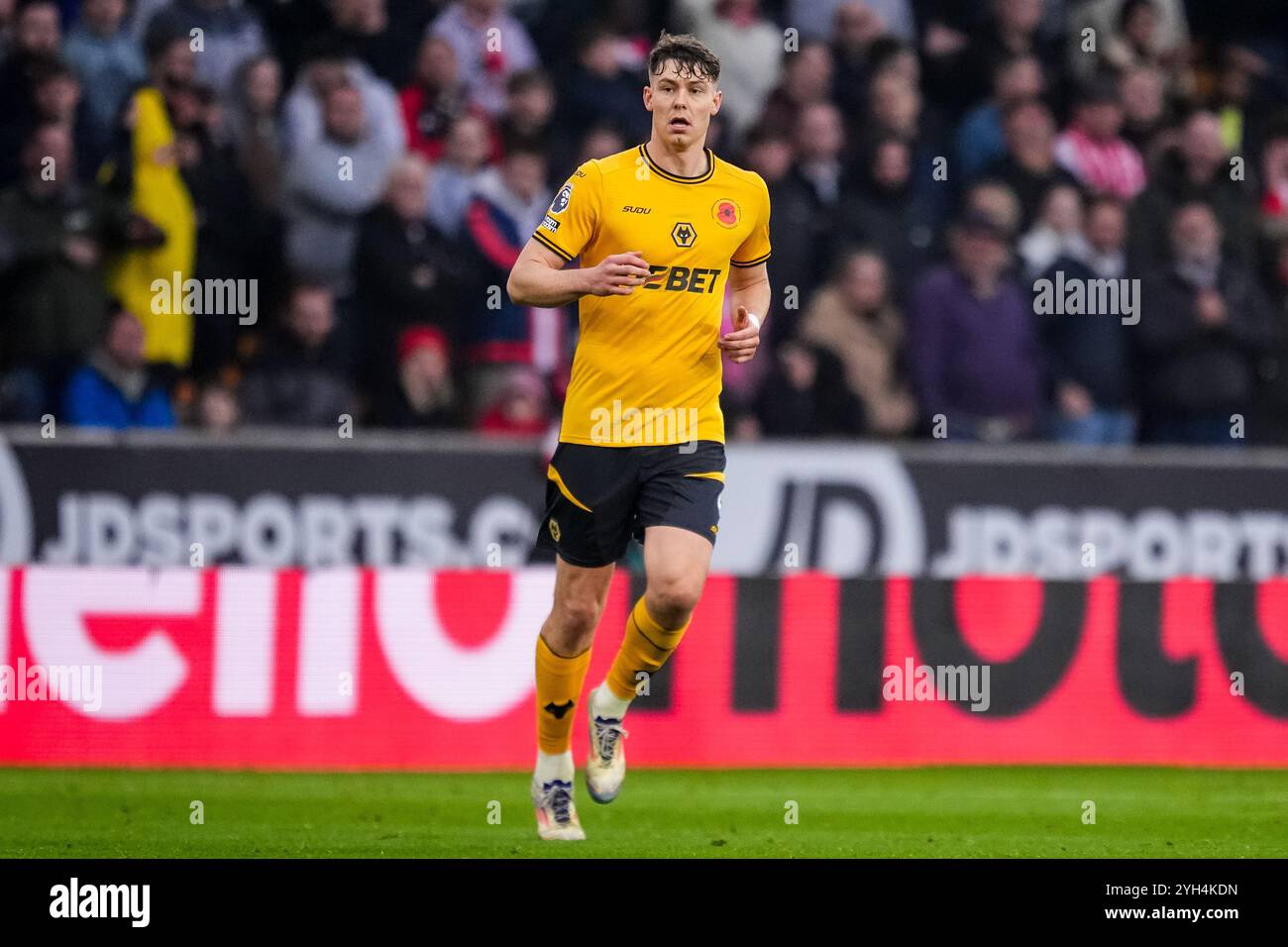 Wolverhampton, Regno Unito. 9 novembre 2024. WOLVERHAMPTON, INGHILTERRA - 9 NOVEMBRE: Jorgen Strand Larsen del Wolverhampton Wanderers FC guarda durante la partita di Premier League tra Wolverhampton Wanderers FC e Southampton FC a Molineux il 9 novembre 2024 a Wolverhampton, Inghilterra. (Foto di René Nijhuis/MB Media) credito: MB Media Solutions/Alamy Live News Foto Stock