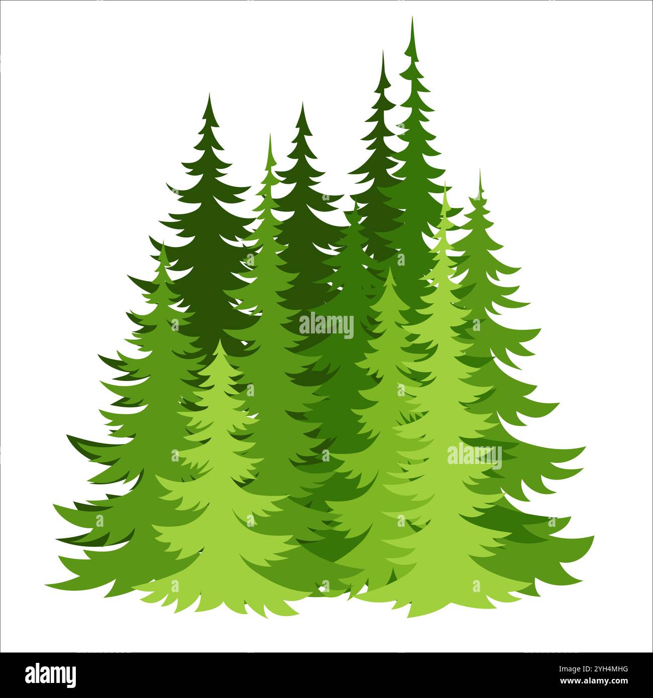 Sagoma degli abeti della foresta. Sfondo orizzontale di abete conifere. Vista sugli alberi della foresta Illustrazione Vettoriale