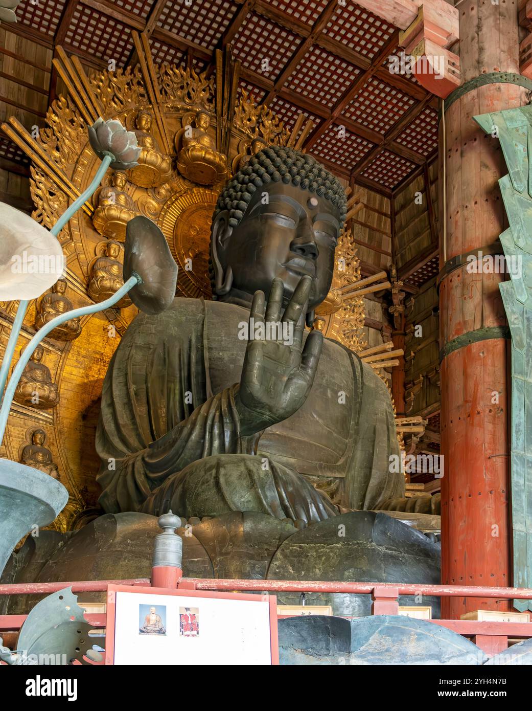 Daibutsu - il grande Buddha, Tōdai-ji - tempio Todaiji, Nara, Giappone Foto Stock