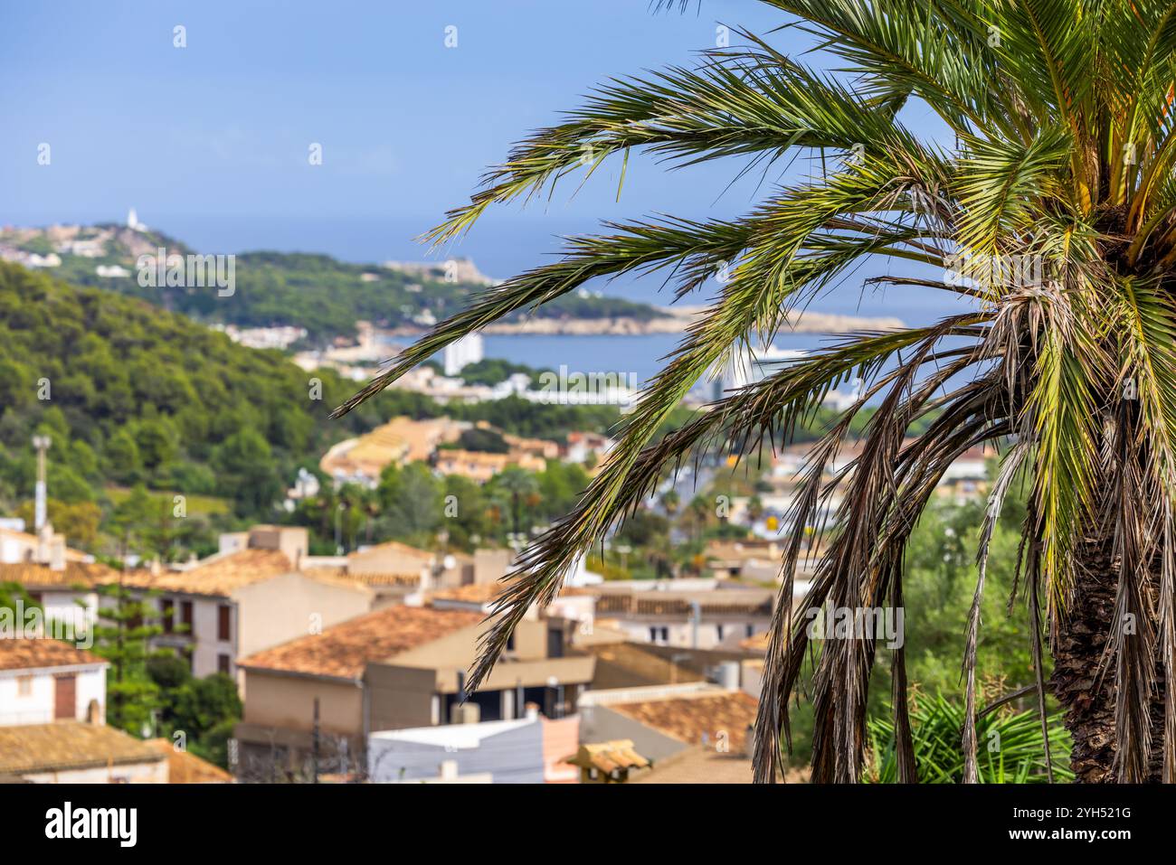 Una palma di fronte ad una vista della città di Capdepera e del suo quartiere, la località balneare di Cala Rajada, Maiorca, Isole Baleari, Spagna, Europa Foto Stock
