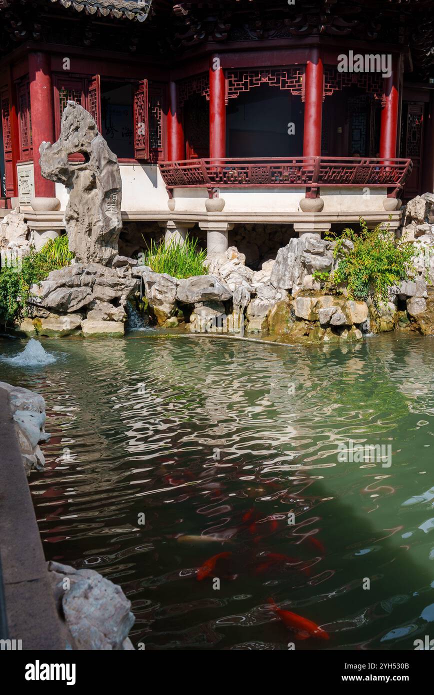 Padiglione tradizionale e laghetto Koi nel Giardino Yuyuan, Shanghai Foto Stock