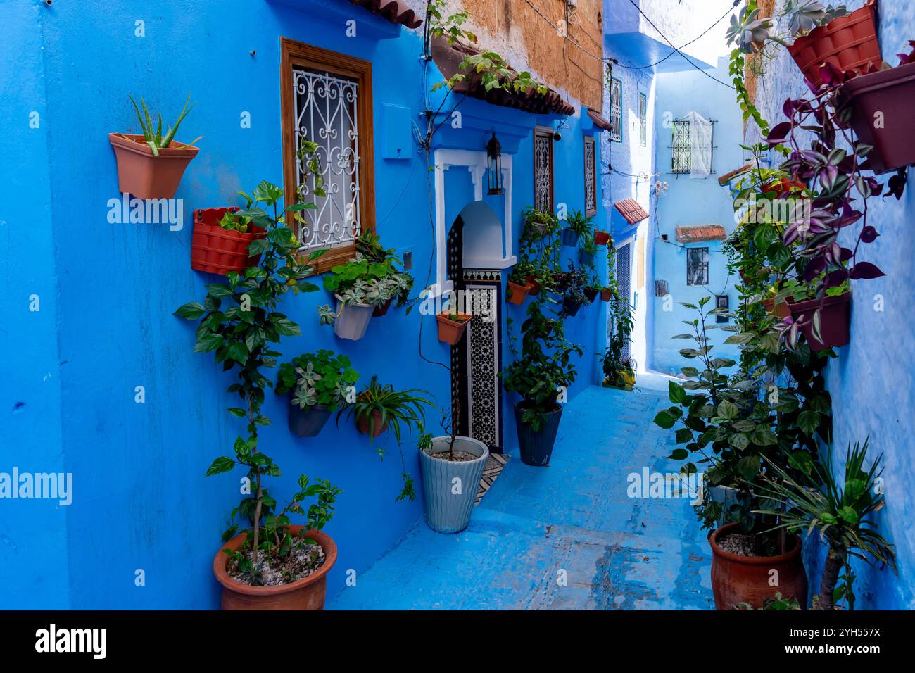Case e strade di colore blu decorate con vasi di fiori colorati a Chefchaouen, Marocco. Foto Stock