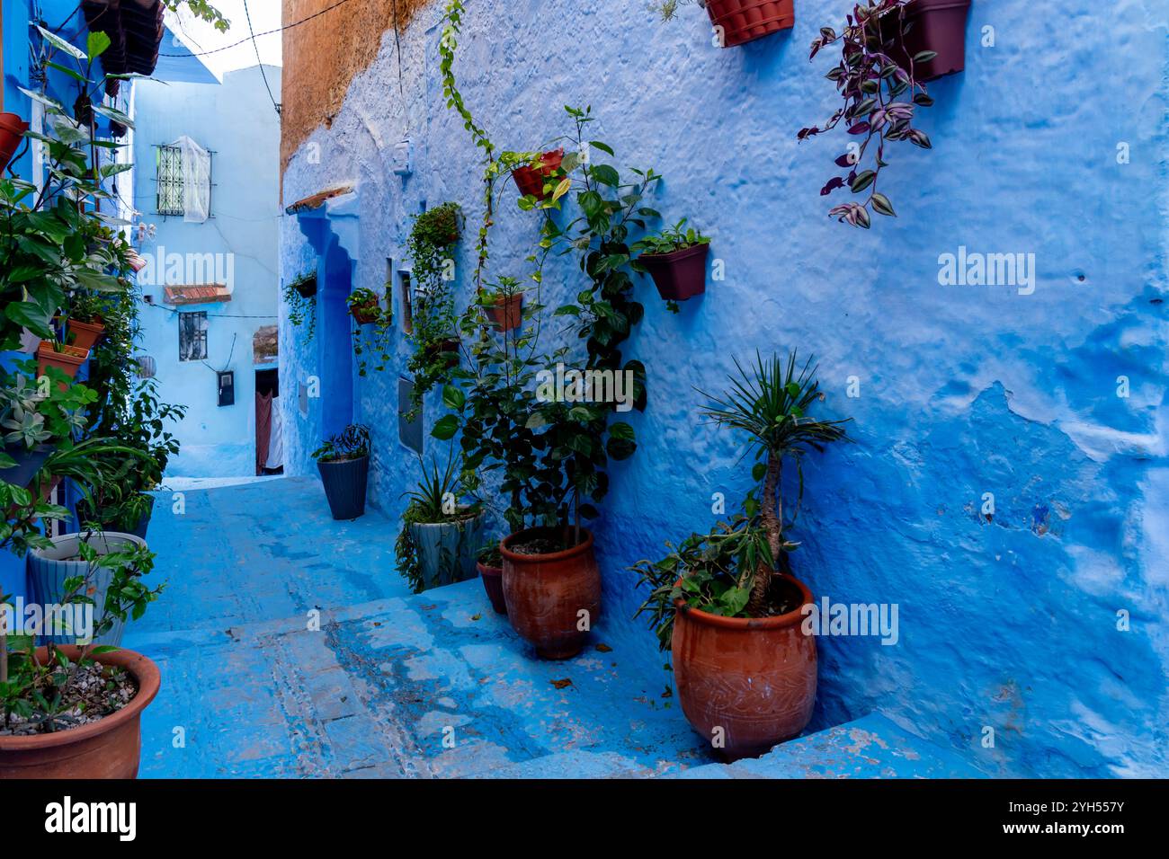 Case e strade di colore blu decorate con vasi di fiori colorati a Chefchaouen, Marocco. Foto Stock