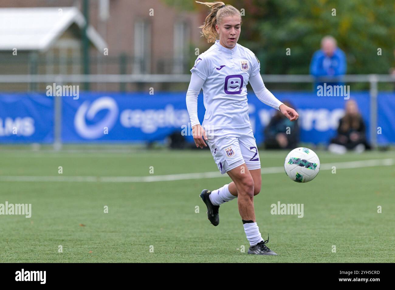 Nikki Ijzerman (29) di Anderlecht nella foto durante una partita di calcio femminile tra KRC Genk Ladies e RSC Anderlecht nella nona partita della stagione 2024 - 2025 del belga lotto Womens Super League, sabato 9 novembre 2024 a Genk, BELGIO. Crediti: Sportpix/Alamy Live News Foto Stock