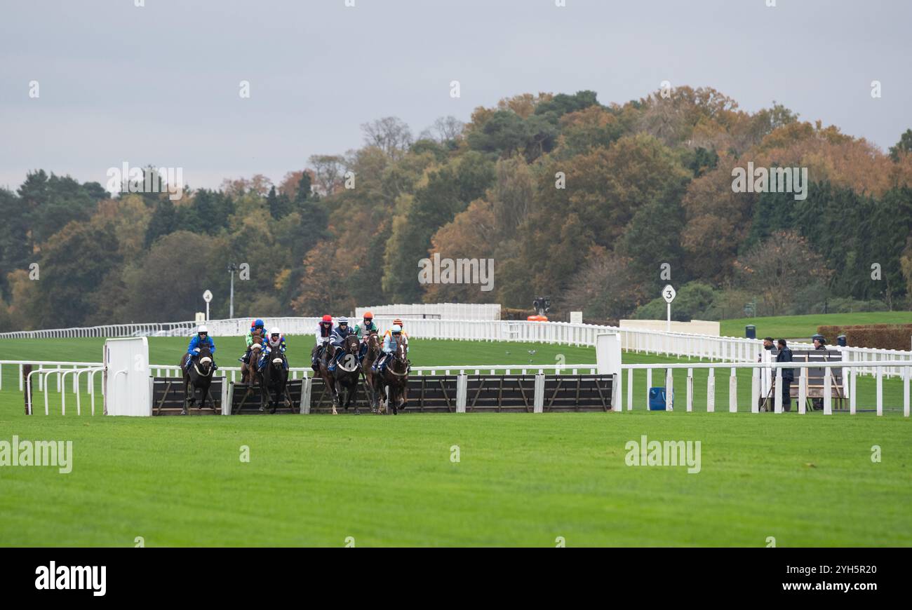 Le corse Jumpos tornano all'ippodromo di Ascot per la stagione 2024/25. Crediti JTW equine Images / Alamy. Foto Stock
