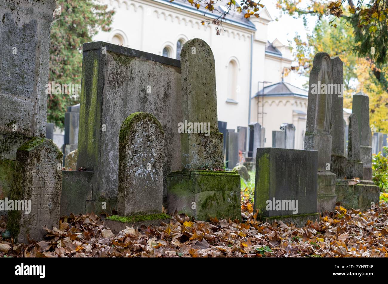 Storiche lapidi pre-seconda guerra mondiale nel cimitero ebraico di Brno, Repubblica Ceca. Fotografato in autunno con foglie cadute sulla Foto Stock