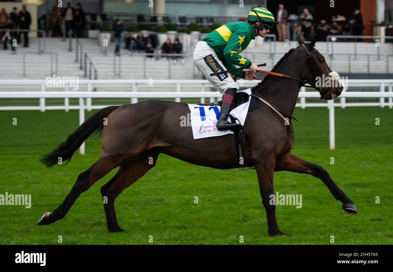 Le profondità nascoste e Sam Twiston-Davies si dirigono all'ippodromo di Ascot, sabato 2 novembre 2024. Crediti JTW equine Images / Alamy. Foto Stock