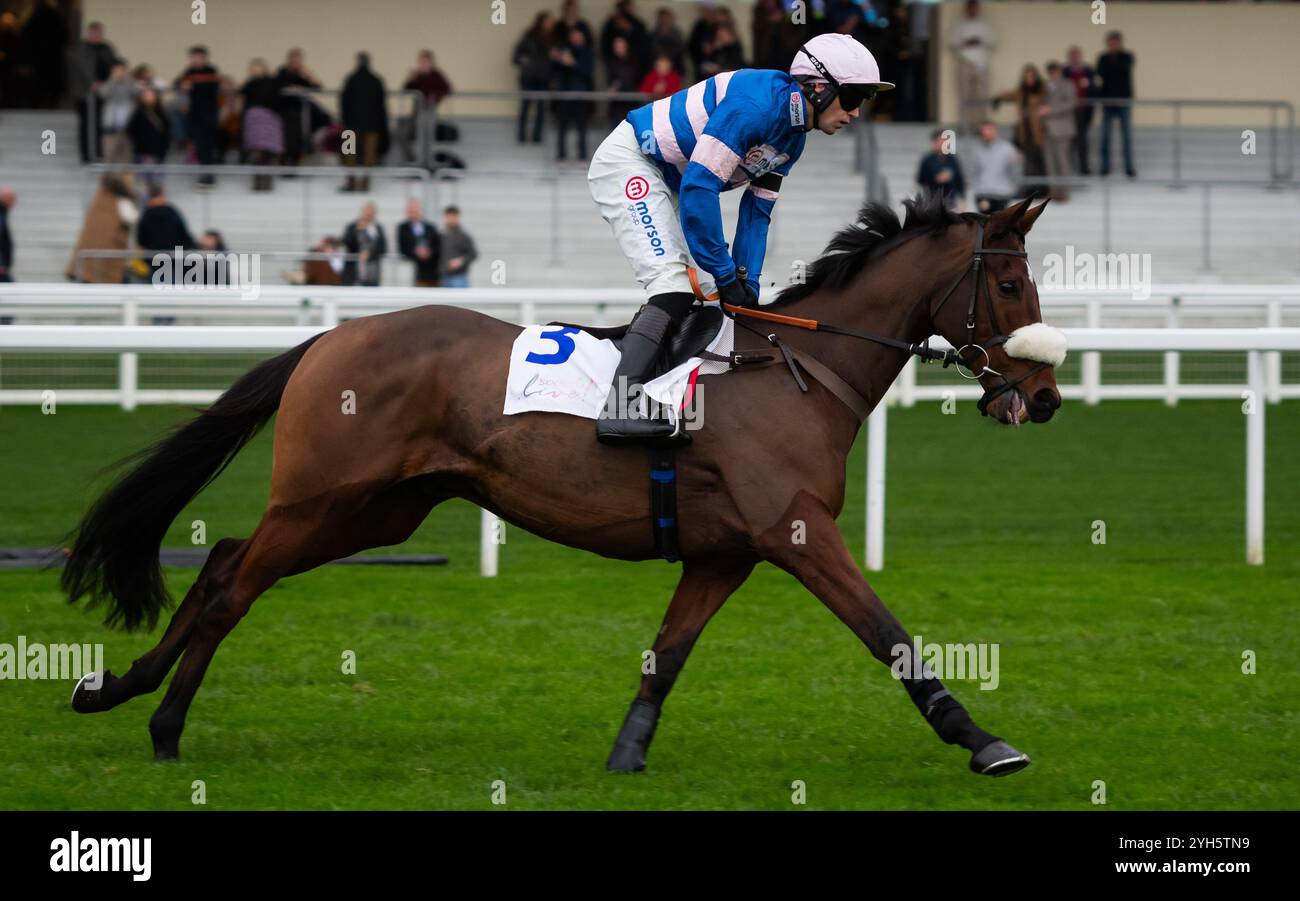 Solo e Lorcan Williams si dirigono all'ippodromo di Ascot, sabato 2 novembre 2024. Crediti JTW equine Images / Alamy. Foto Stock