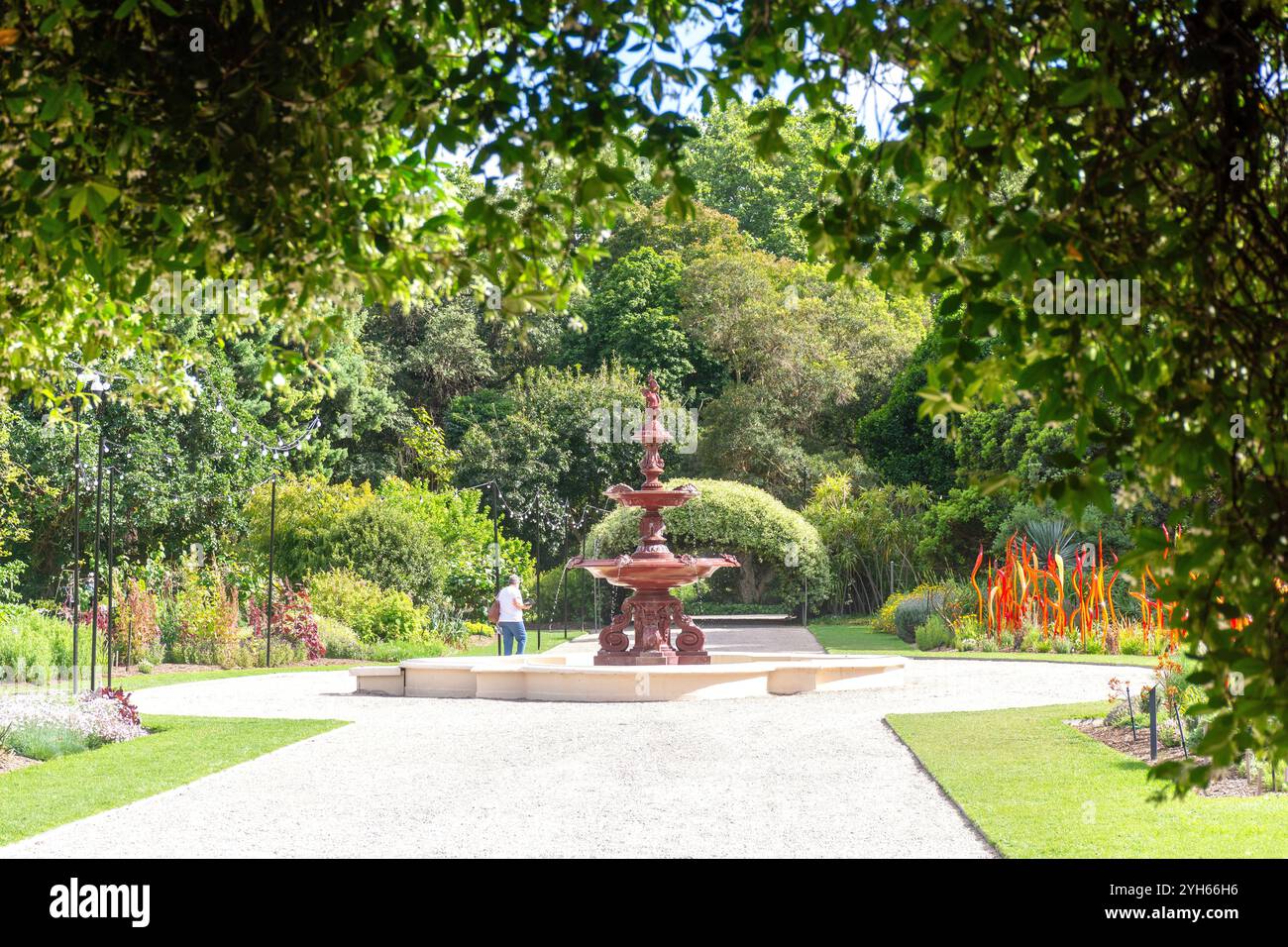 Economic Garden, Adelaide Botanic Garden, North Terrace, Adelaide, Australia meridionale, Australia Foto Stock