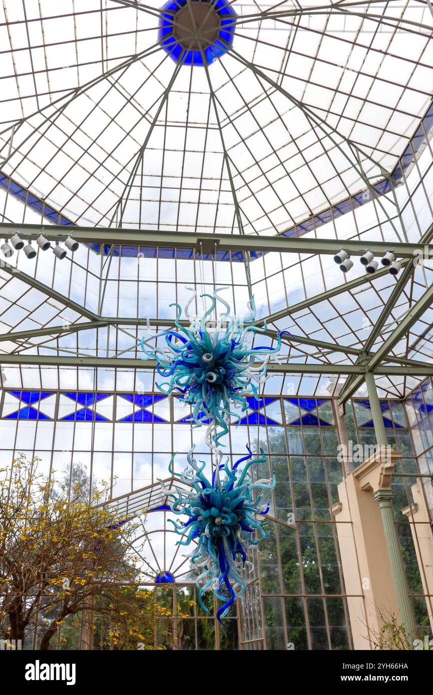 Palm House Interior, Adelaide Botanic Garden, North Terrace, Adelaide, Australia meridionale, Australia Foto Stock