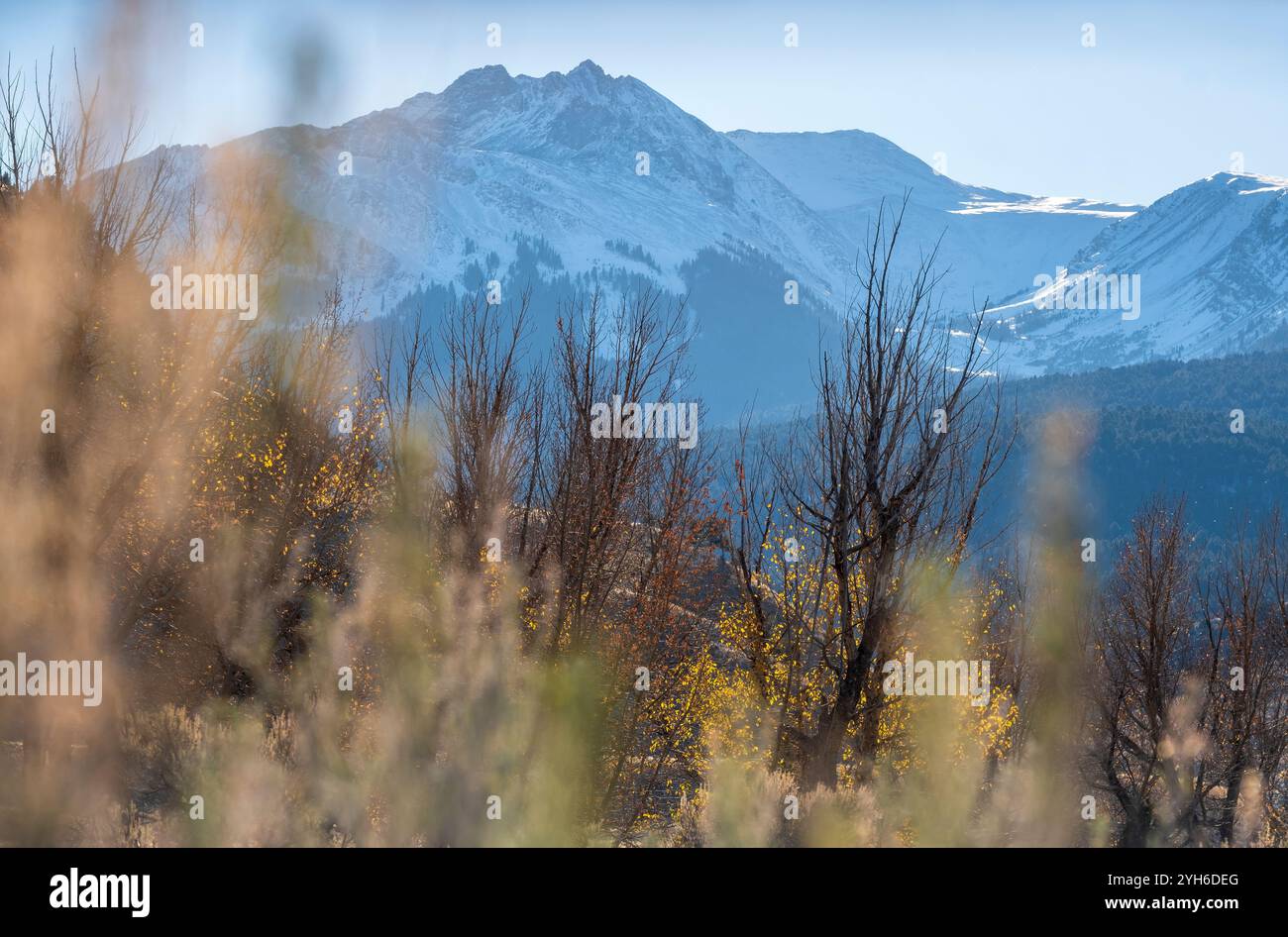 Tramonto nella catena montuosa di Absaroka vicino all'ingresso del parco nazionale di Yellowstone, Montana, Stati Uniti Foto Stock