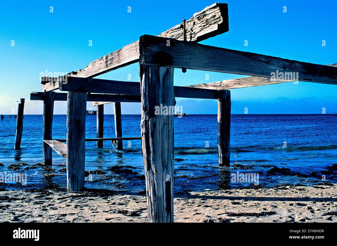 Resti di un vecchio molo di legno sulla costa sud-occidentale dell'Australia Foto Stock