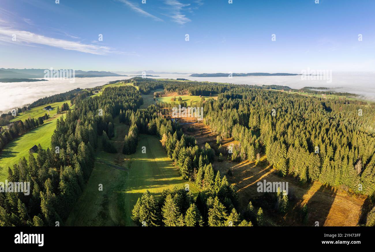 Foto di paesaggio aereo con nuvole di basso livello in una mattina autunnale nella zona di confine tra Germania e Austria con le montagne della foresta di Bregenz, Vorar Foto Stock