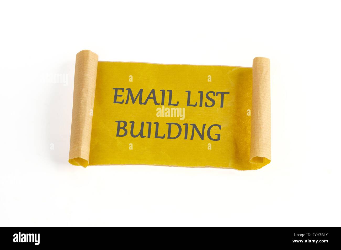 Il concetto di business dell'informazione. Il testo dell'ELENCO E-MAIL è scritto su uno sfondo bianco Foto Stock