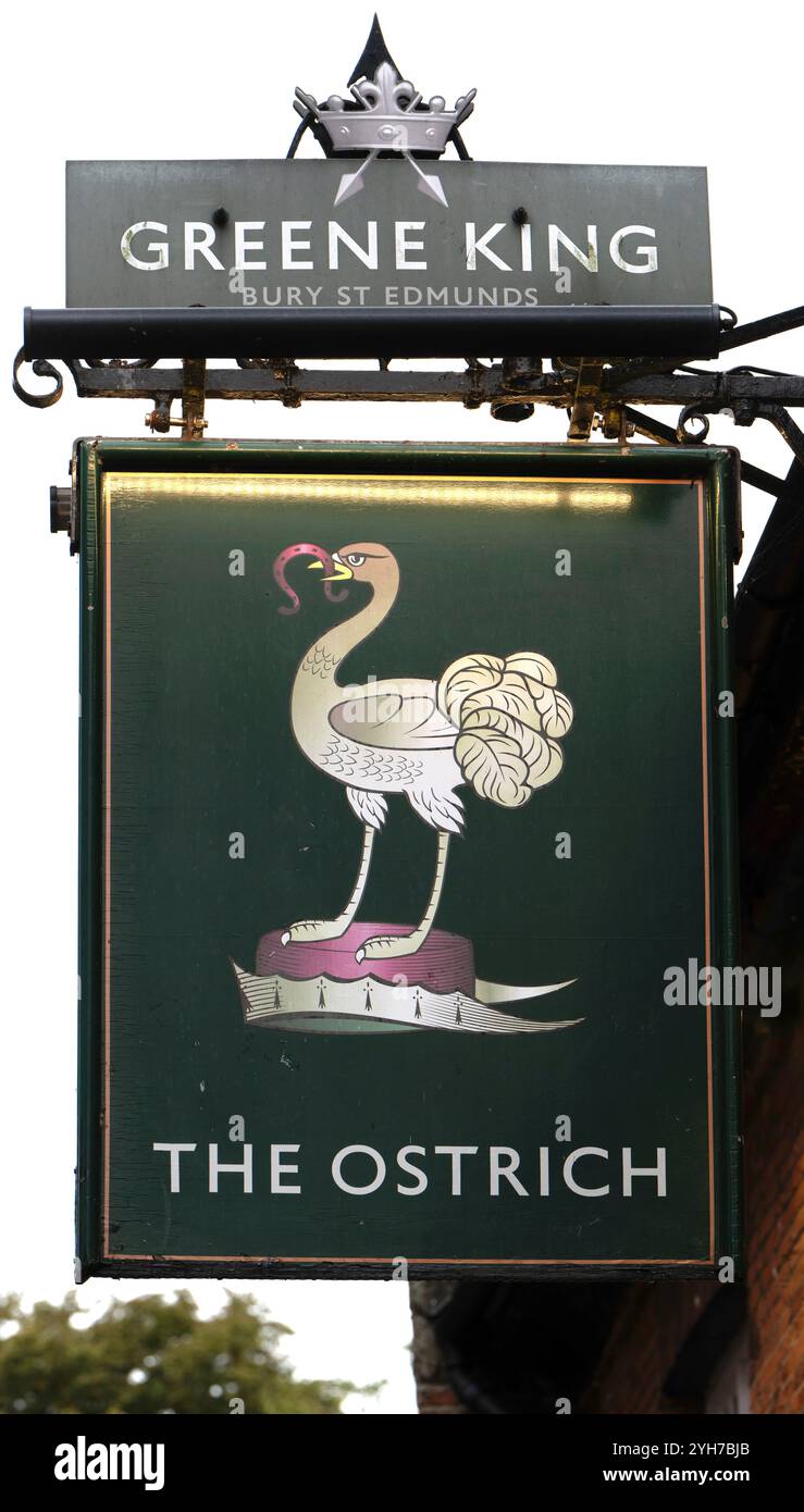 Insegna tradizionale da pub appesa presso l'Ostrich - Greene King Public House - Stocks Green, Castle Acre, Kings Lynn, North Norfolk, Norfolk, Inghilterra, Regno Unito Foto Stock