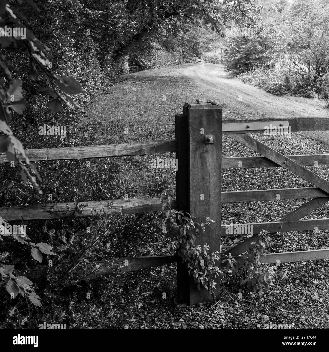 Porta rustica in legno in un tranquillo ambiente del sentiero forestale Foto Stock