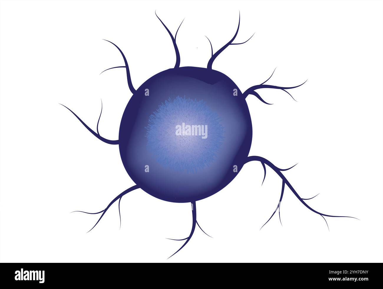 Un tipo speciale di cellule immunitarie che si trova nei tessuti, come la pelle, e aumenta le risposte immunitarie mostrando antigeni sulla sua superficie ad altre cellule Illustrazione Vettoriale