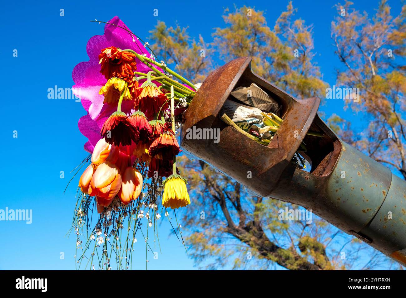 Cannone dell'epoca della seconda guerra mondiale riutilizzato come piantagione con fiori vivaci nella Villa Comunale di Trani, Italia Foto Stock