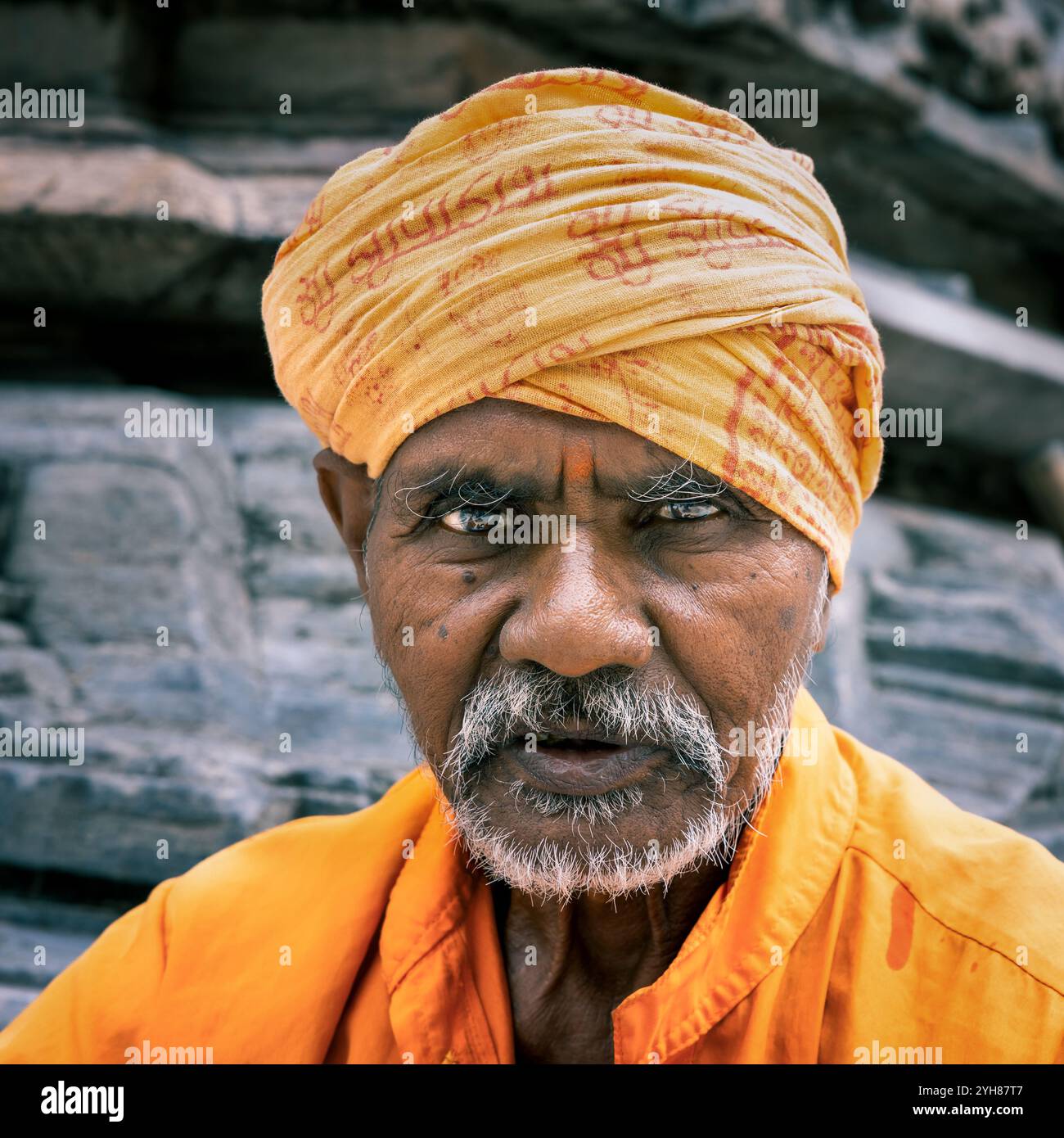 Ritratto su un Sadhu indiano o uomo santo, Udaipur, Rajasthan, India Foto Stock