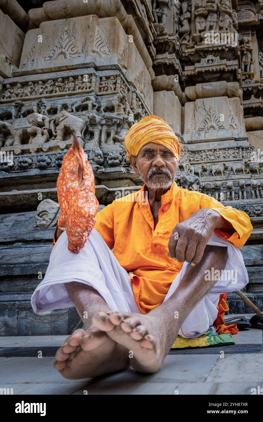 Ritratto su un Sadhu indiano o uomo santo, Udaipur, Rajasthan, India Foto Stock