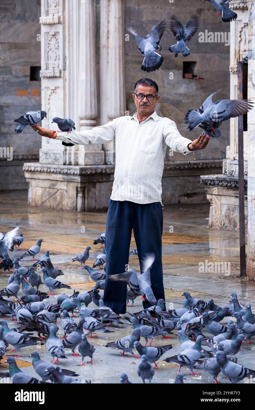 Un uomo che dà da mangiare ai piccioni, Udaipur, Rajasthan, India Foto Stock